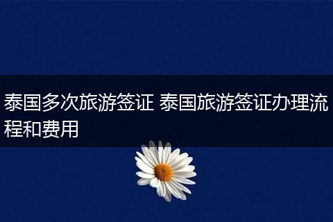 泰国多次旅游签证 泰国旅游签证办理流程和费用