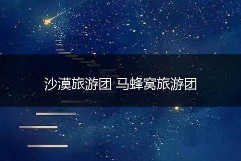 沙漠旅游团 马蜂窝旅游团