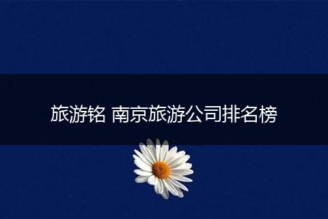 旅游铭 南京旅游公司排名榜