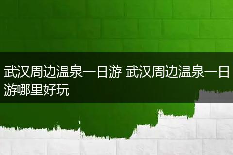 武汉周边温泉一日游 武汉周边温泉一日游哪里好玩