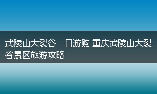 武陵山大裂谷一日游购 重庆武陵山大裂谷景区旅游攻略