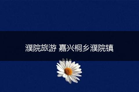 濮院旅游 嘉兴桐乡濮院镇