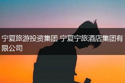 宁夏旅游投资集团 宁夏宁旅酒店集团有限公司