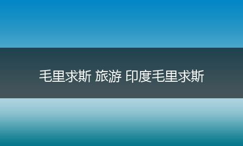 毛里求斯 旅游 印度毛里求斯