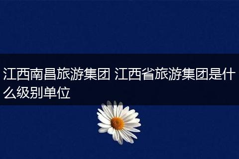江西南昌旅游集团 江西省旅游集团是什么级别单位