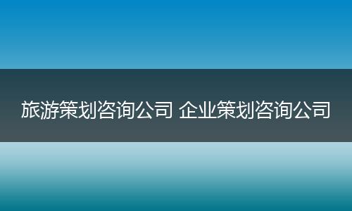 旅游策划咨询公司 企业策划咨询公司