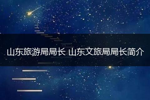 山东旅游局局长 山东文旅局局长简介