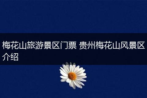 梅花山旅游景区门票 贵州梅花山风景区介绍