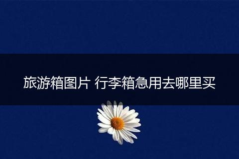 旅游箱图片 行李箱急用去哪里买