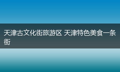 天津古文化街旅游区 天津特色美食一条街