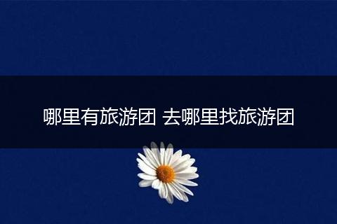 哪里有旅游团 去哪里找旅游团