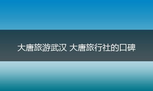 大唐旅游武汉 大唐旅行社的口碑