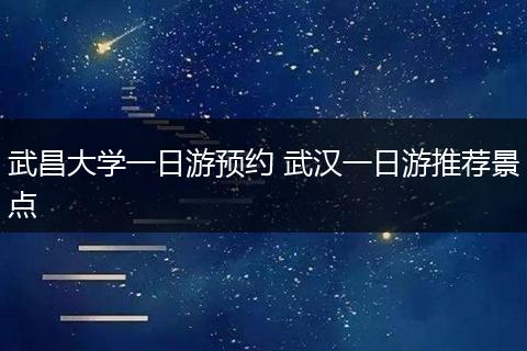 武昌大学一日游预约 武汉一日游推荐景点