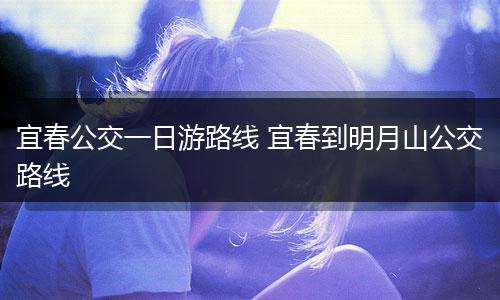 宜春公交一日游路线 宜春到明月山公交路线
