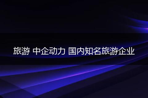 旅游 中企动力 国内知名旅游企业