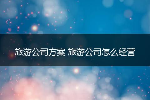 旅游公司方案 旅游公司怎么经营