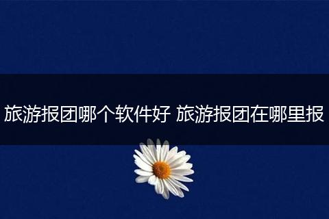 旅游报团哪个软件好 旅游报团在哪里报
