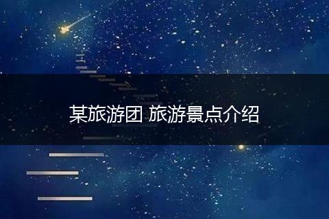 某旅游团 旅游景点介绍
