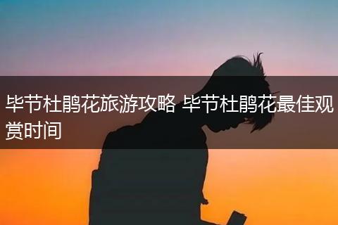 毕节杜鹃花旅游攻略 毕节杜鹃花最佳观赏时间