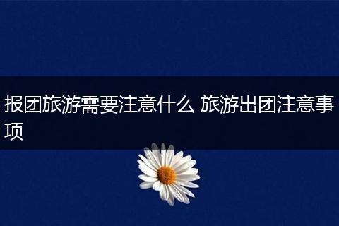 报团旅游需要注意什么 旅游出团注意事项