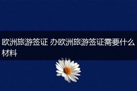 欧洲旅游签证 办欧洲旅游签证需要什么材料