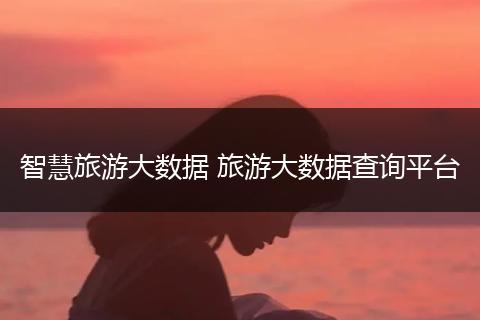 智慧旅游大数据 旅游大数据查询平台