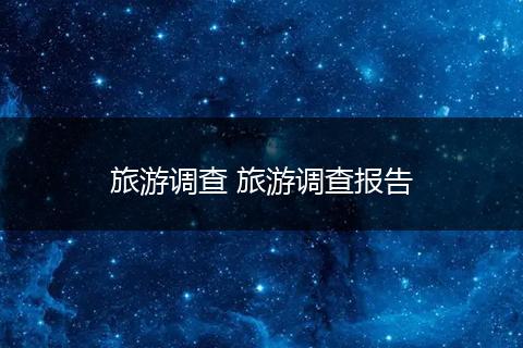 旅游调查 旅游调查报告