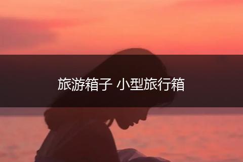 旅游箱子 小型旅行箱