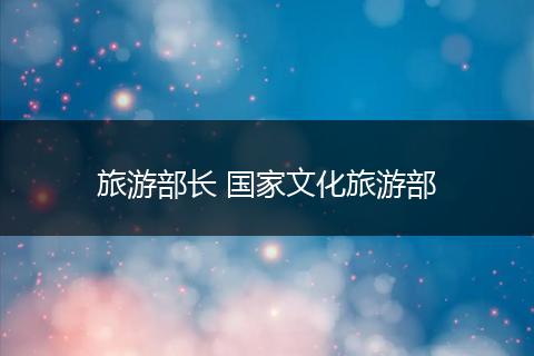 旅游部长 国家文化旅游部