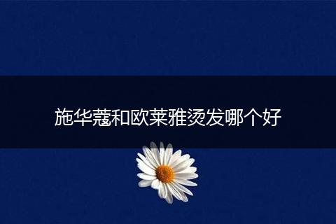 施华蔻和欧莱雅烫发哪个好