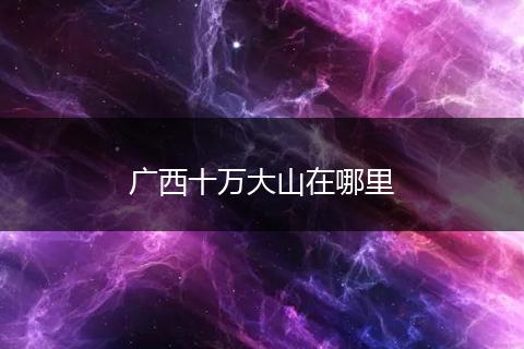 广西十万大山在哪里