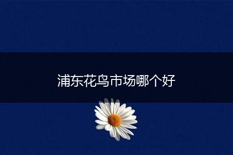 浦东花鸟市场哪个好