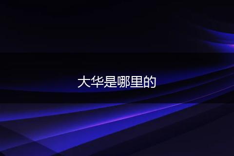 大华是哪里的