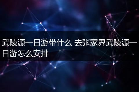 武陵源一日游带什么 去张家界武陵源一日游怎么安排
