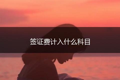 签证费计入什么科目