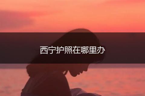 西宁护照在哪里办