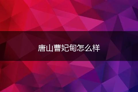 唐山曹妃甸怎么样