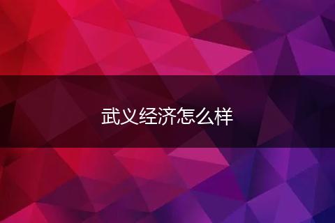 武义经济怎么样