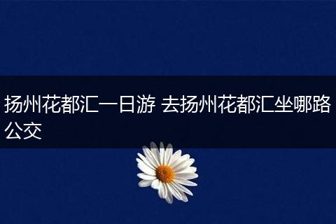 扬州花都汇一日游 去扬州花都汇坐哪路公交