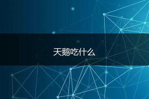 天鹅吃什么