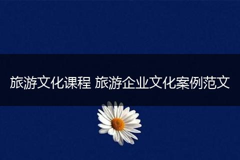旅游文化课程 旅游企业文化案例范文