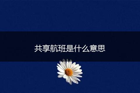 共享航班是什么意思