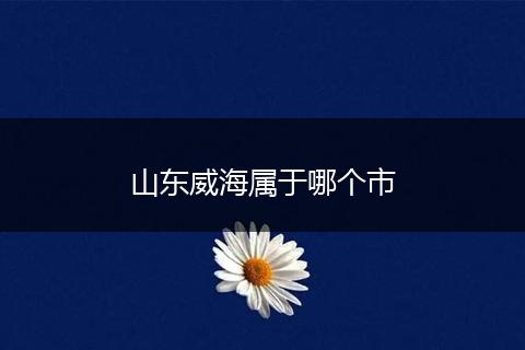 山东威海属于哪个市