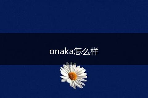 onaka怎么样