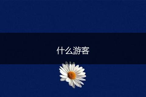 什么游客