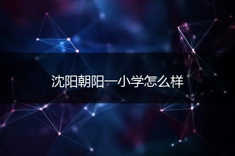 沈阳朝阳一小学怎么样
