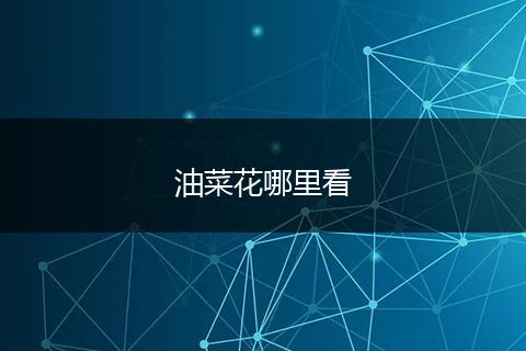 油菜花哪里看