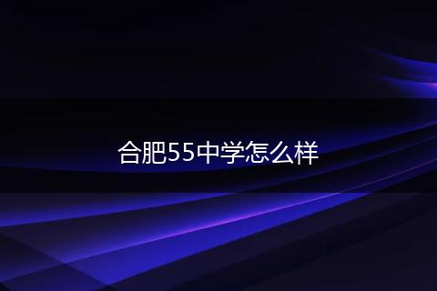 合肥55中学怎么样