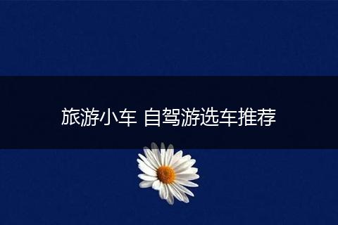 旅游小车 自驾游选车推荐