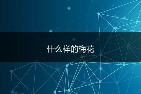 什么样的梅花